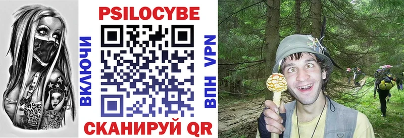 Псилоцибиновые грибы Cubensis  Купить где  Ува 